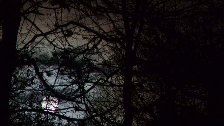 Time lapse of a full moon rising behind trees in late autumn. As the moon enters frame the camera starts to follow it then stops panning allowing the moon to leave frame.