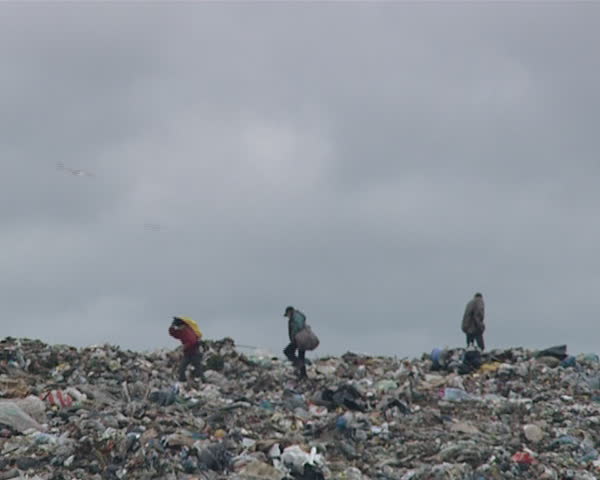 Homeless people looking for useful items and food for survival between rubbish in dump garbage heaps. Environmental pollution. Poverty. 