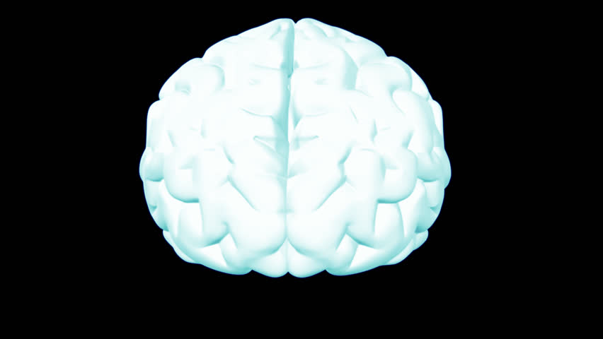 3D rotating brain HD