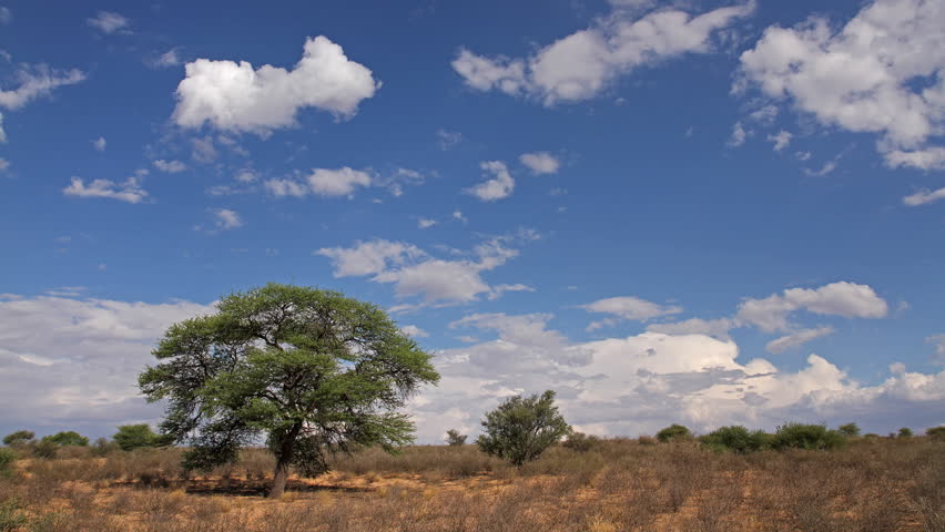 Time lapse of clouds over the Kalahari desert, South Africa