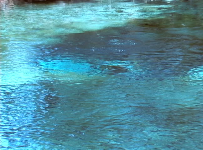 A scuba diver emerges from a spring cave at Ginnie Spring in High Springs, Florida.