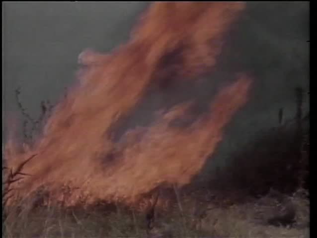 Men trying to extinguish fire in African field