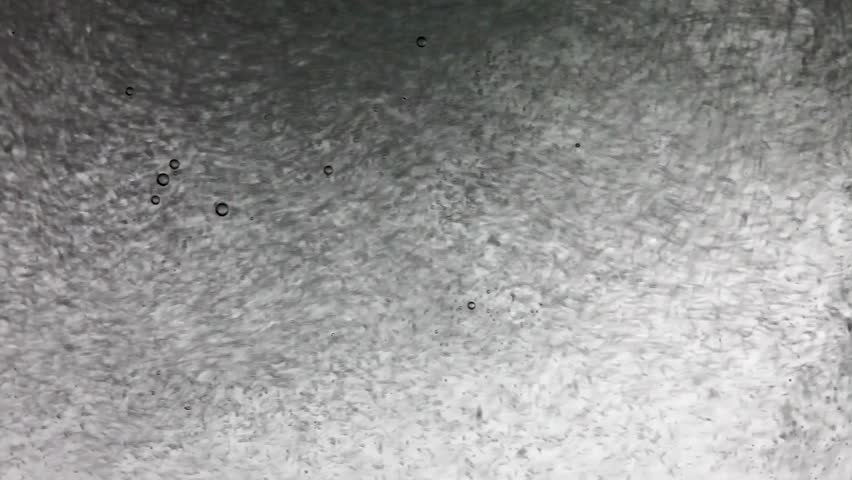 Air bubbles floating around