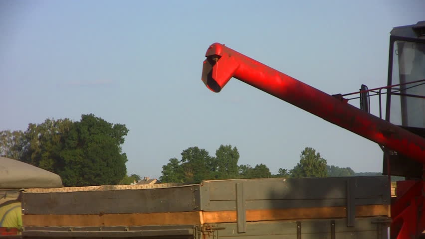 Close-up of combine transferring freshly harvested wheat to tractor-trailer for transport