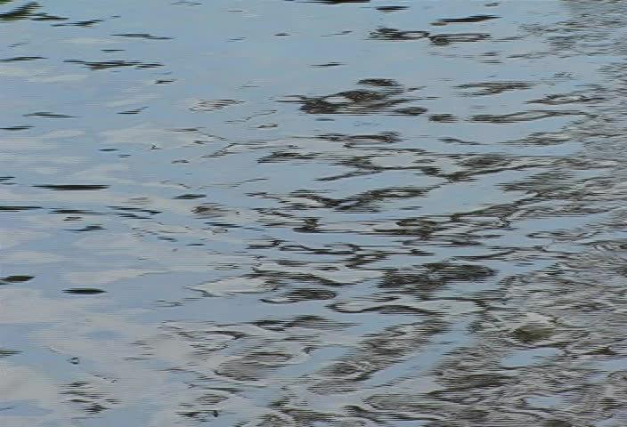 Natural pool