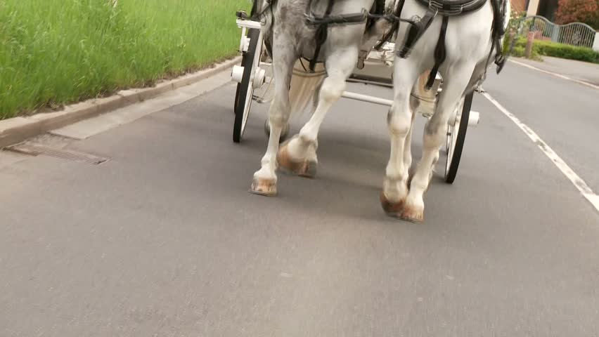 Horse-drawn carriage
