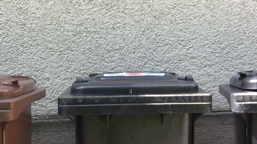 Taking the Trash Out