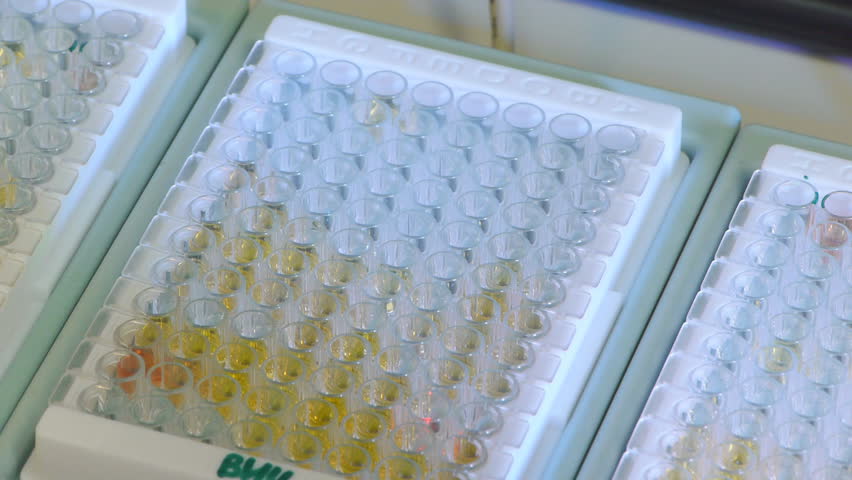 sorting of the material for analysis