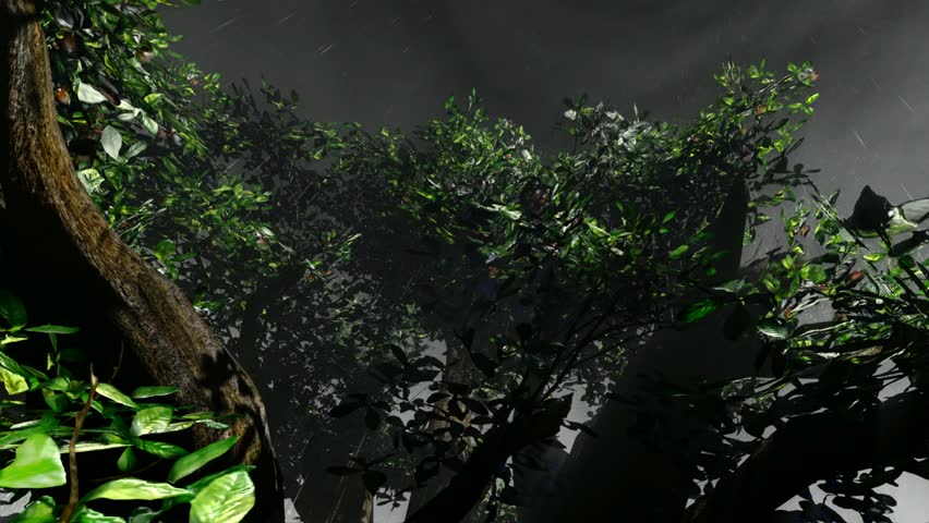 Haunted tree