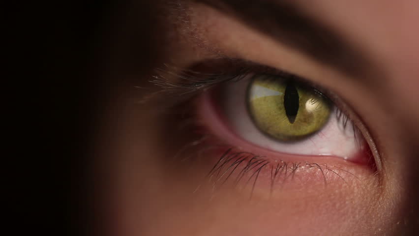 A girl opens her eye, inside-a cat's eyeball 