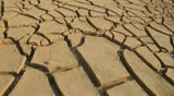 cracked clay ground into the dry