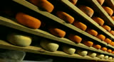 Blue cheese gouda Factory food process