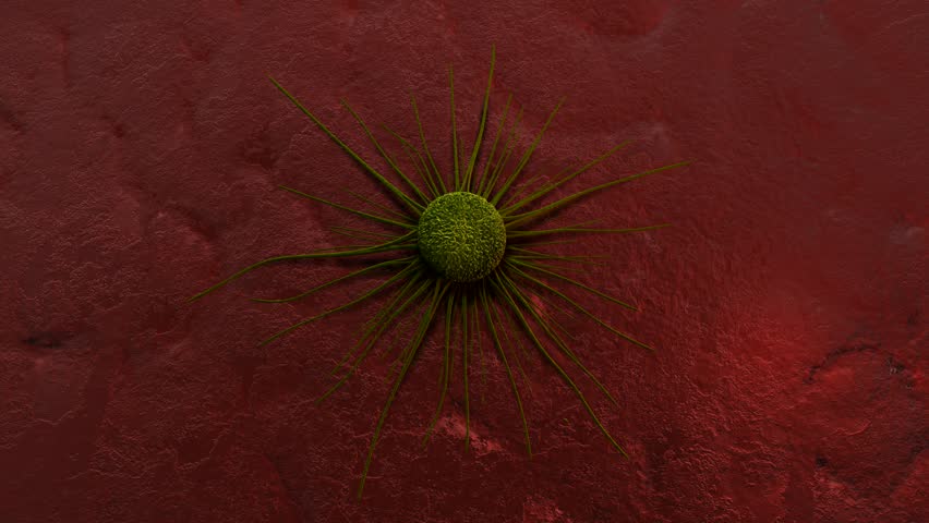 cancer cell