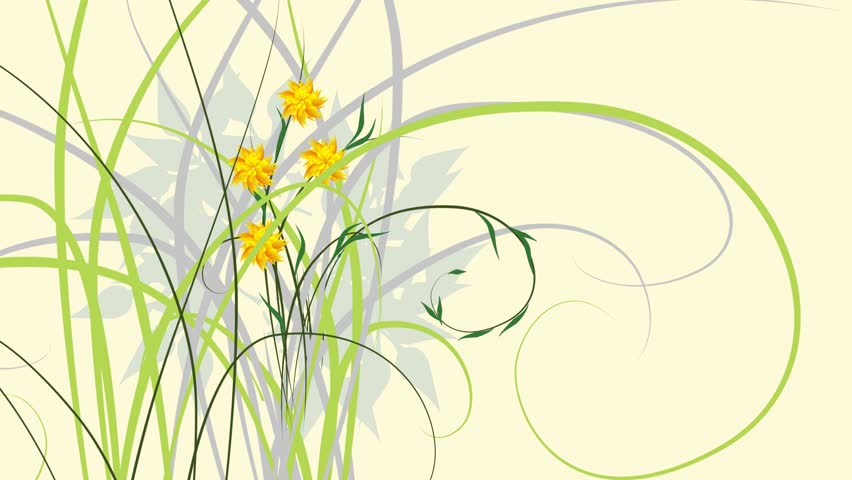 time lapse flowers