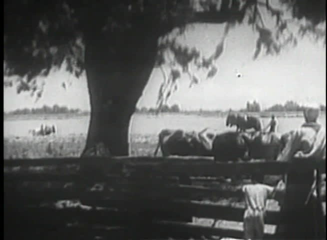 Wide shot of farmers working the land