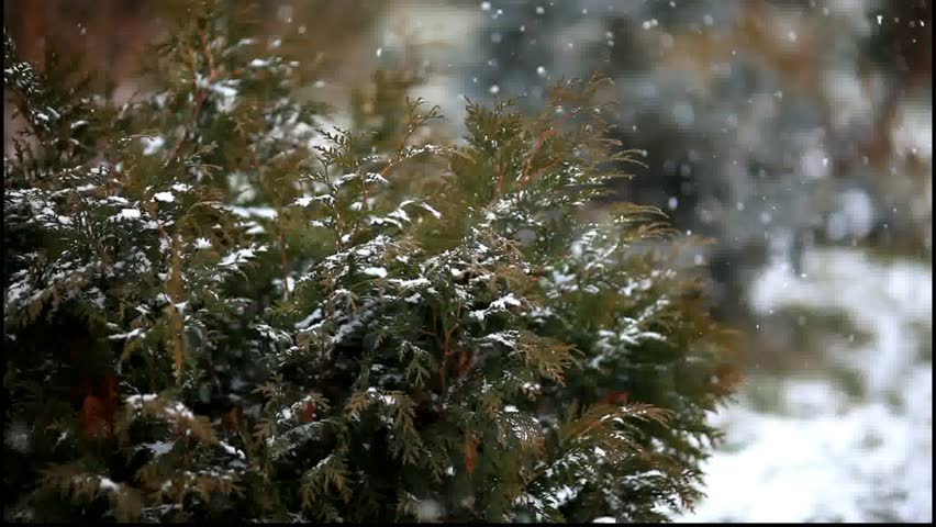 1080p changeable weather 1920x1080 hd video