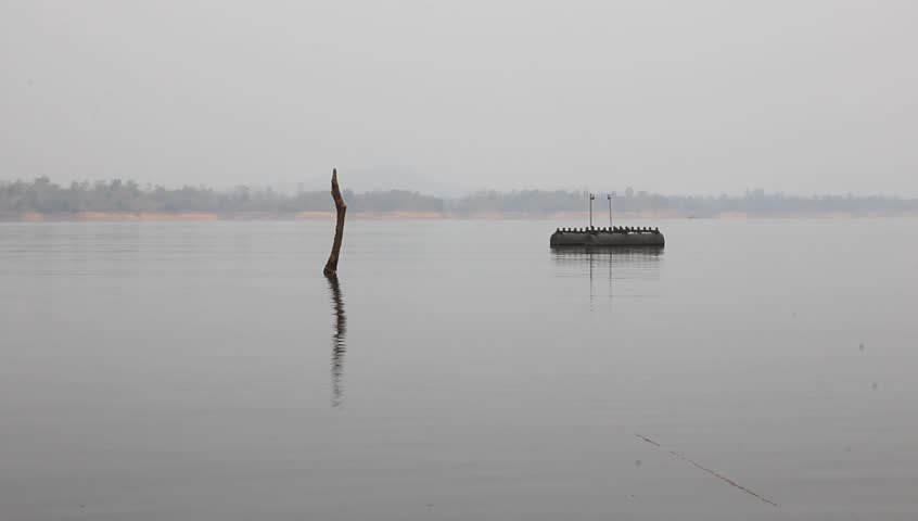 Timber among Edge of A Peaceful Lake