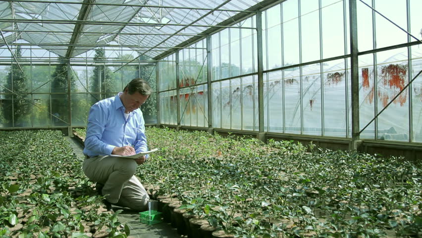 Scientist examining flora in a greenhouse