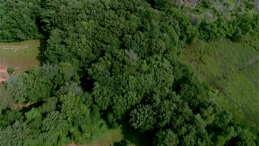 Aerial view of forest and farmland