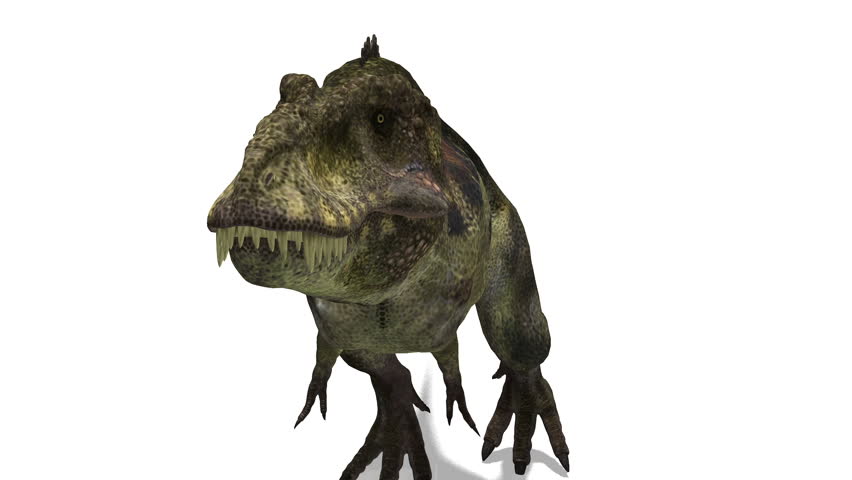 dinosaur