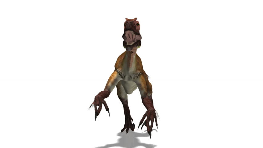 dinosaur
