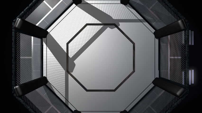 Top down view of an octagon shaped fighting ring - rotating 360 degrees