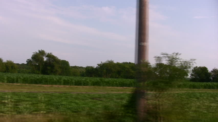HD young corn field and barn