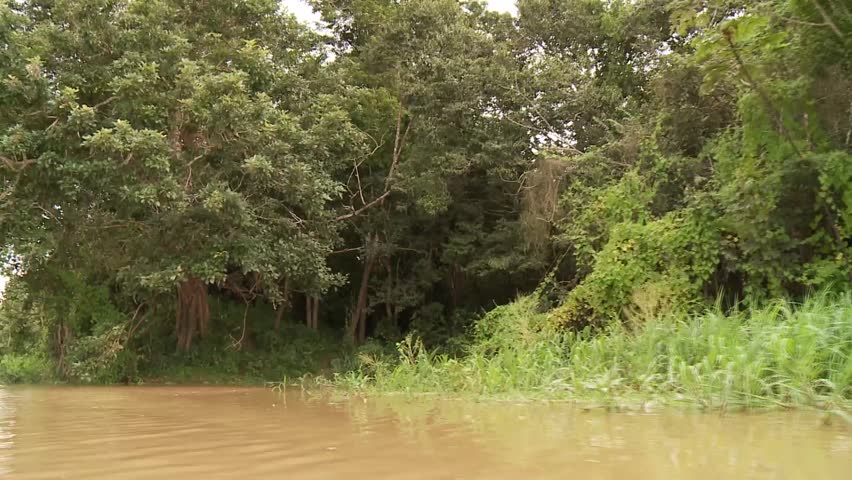 Shipping On Amazon River, Southamerica. Peru
