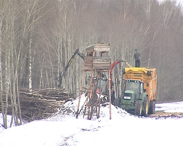 tractor with crane loads branches to pile and granulated chips fall into trailer. man supervise process. forest management and bio fuel production machines. winter snow.