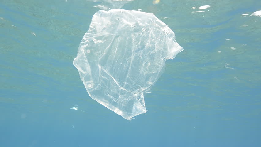 Plastic bag floating in shallow tropical water.