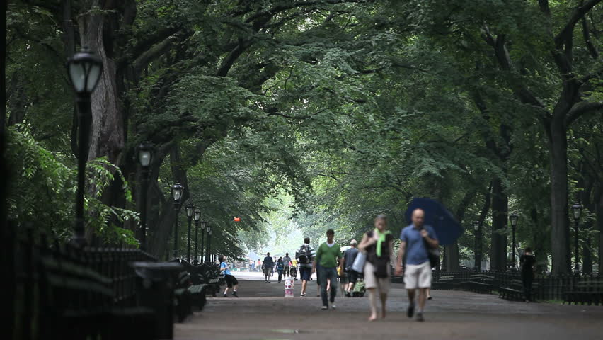 New York - Circa 2009: Central Park in 2009. People walking with umbrellas on a rainy day in Central Park in New York City, New York.