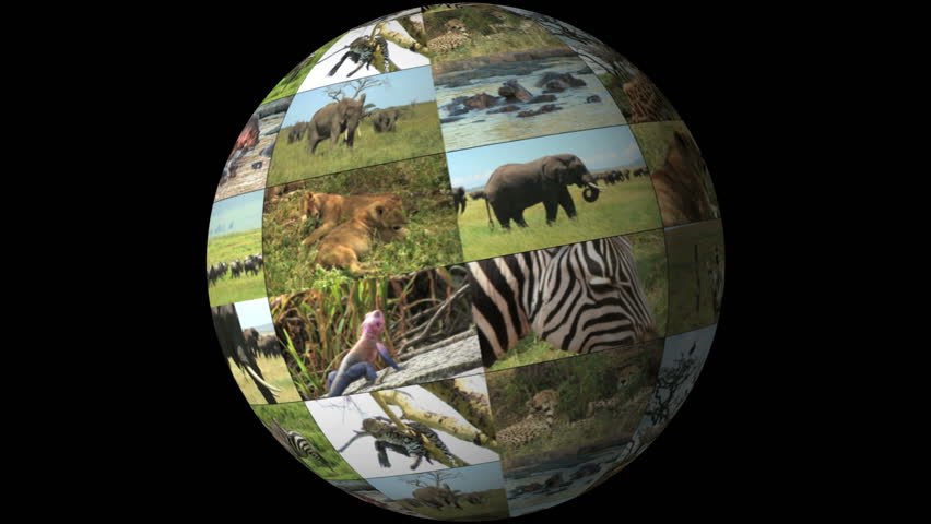 World of Wild Animals - rotating planet globe with montage of lions, elephants, hippos, leopard and more