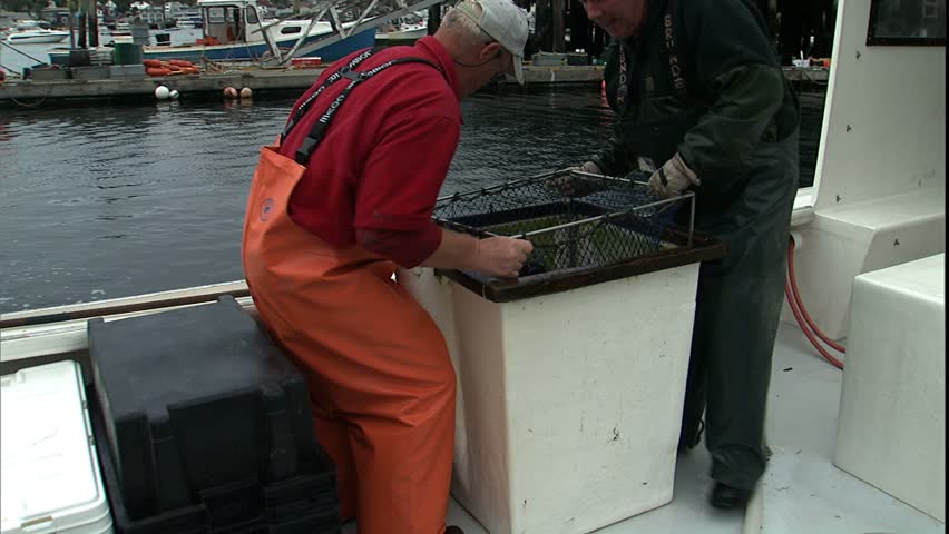 BOOTH BAY, ME - CIRCA 2005: Taking out the boat's lobster catch.