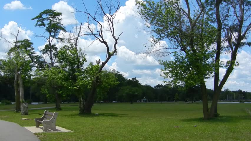 bench in the park