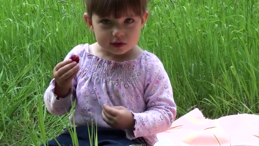 little girl at a picnic