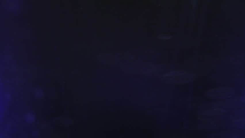 Macro clip of liquid, bubbles and froth. Abstract video that could be used as effect, transition or background and even as a conceptual video.
