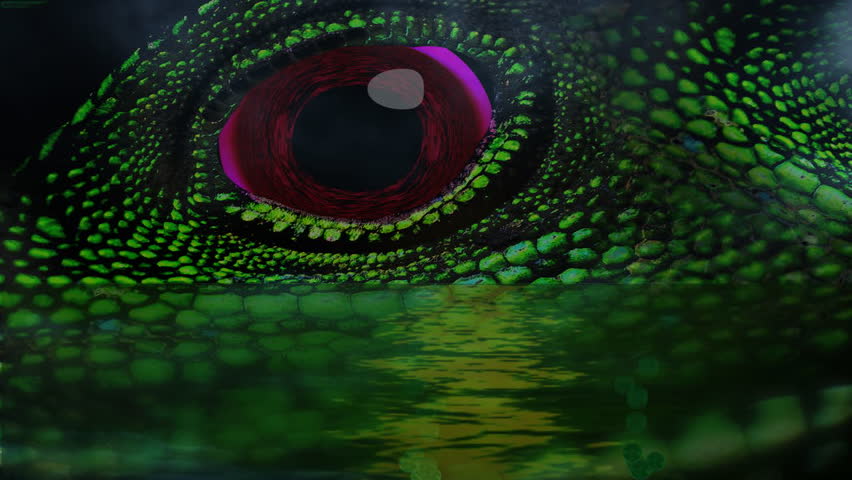 swamp monster demon sitting in a bog looks like a lizard