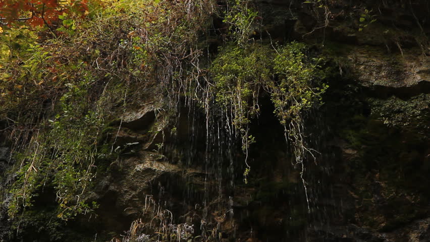 Waterfall cliff. Three shots.
Torrents of water flowing from plants hanging on a cliff face. Three shots. Websters Falls, Dundas, Ontario, Canada.
