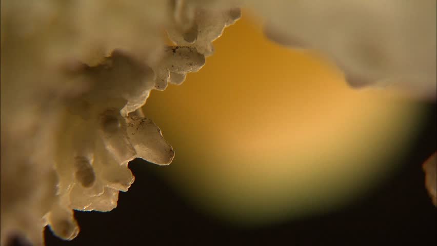 Rack focus from cave formation to stalactite 