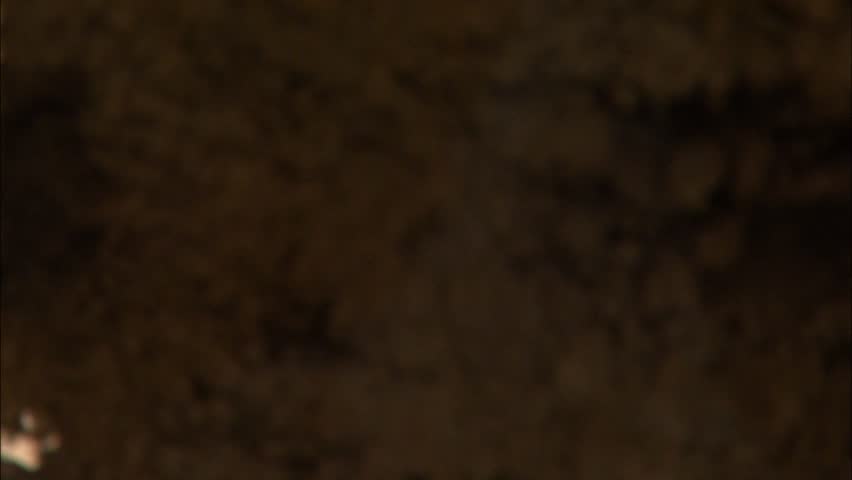 Pan from darkness to tip of stalactite in cave