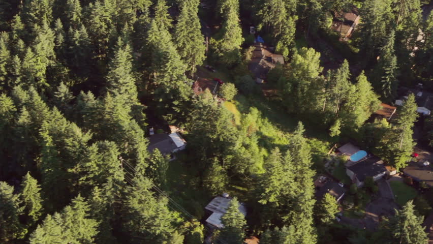 Aerial view from low-flying airplane of residential neighborhood street in rural, forested area