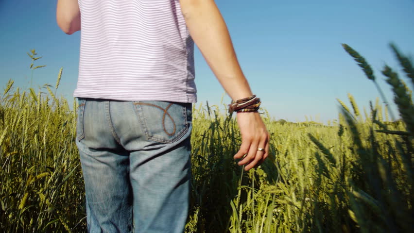 Back view of man walking in wheat field at summertime