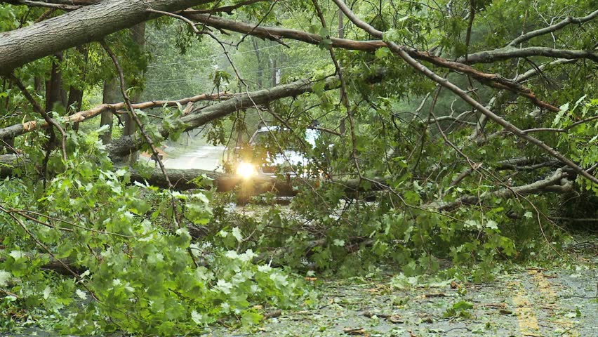 NEW ENGLAND - CIRCA SEPTEMBER 2011: Storm damage -- downed trees blocking road