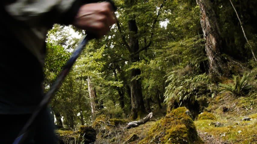 a group of hikers walk a trail in New Zealand's Mount Aspiring NP