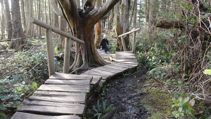 children exploring fantastical forest on boardwalk trail