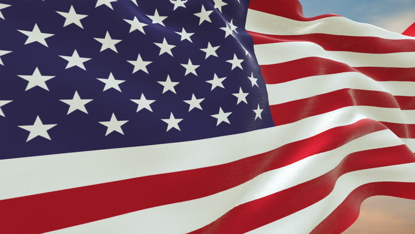 NTSC - American Flag 0212 - A Graphic Black And White American Flag