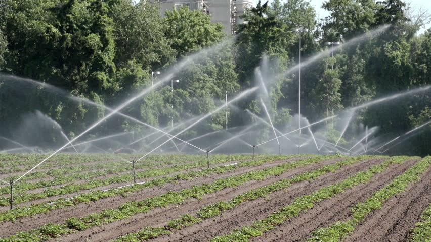 Agricultural irrigation sprinklers at work on a small farm field.