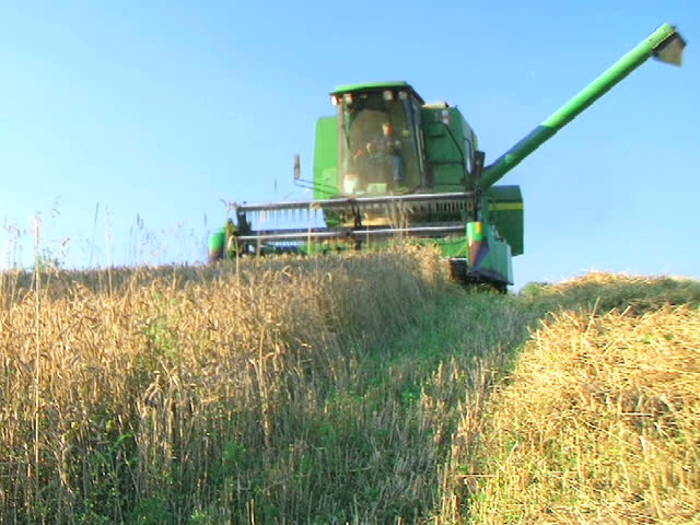 Farmer Combining Wheat 