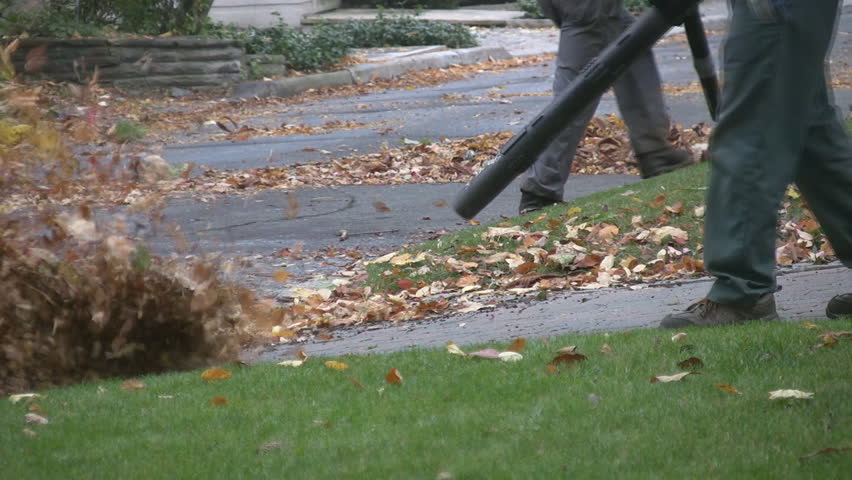 Men with leaf blowers clean up autumn leaves.