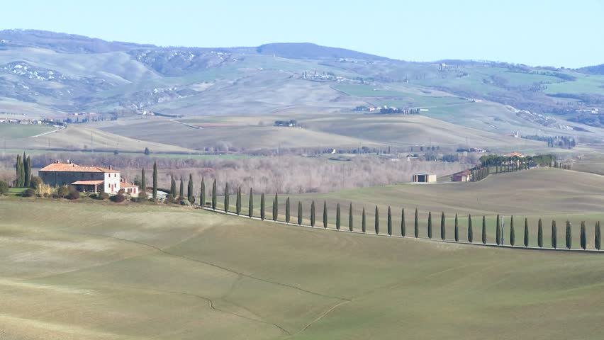 TUSCANY, ITALY-CIRCA 2011-A wide shot of a farm villa with long rows of trees in Tuscany, Italy.